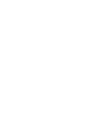 DEFAULT NAZIV Logo